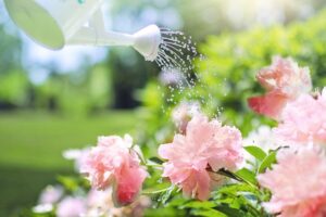 Découvrez comment utiliser nos citernes souple récupératrices d'eau de pluie pour votre jardin