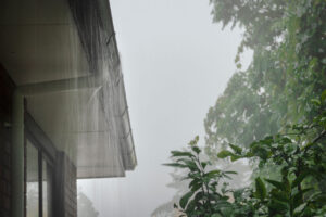 Photo d'un collecteur d'eau de pluie fixé sur les gouttières et relié à un récupérateur d'eau de pluie